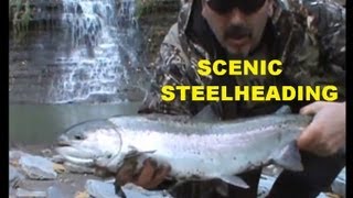 STEELHEAD Fishing Small Scenic Stream [upl. by Biancha]