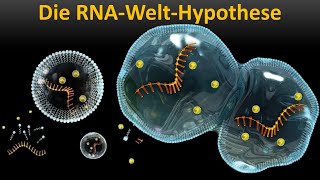 Die RNAWelt Vorlesung Entstehung des Lebens Teil 14 [upl. by Ajak299]