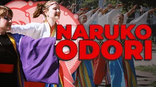 YOSAKOI NARUKO ODORI by NamiYosa NAMI AIRANDO 2024 Poland [upl. by Kaenel]