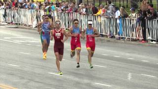 2015 ITU World Triathlon Chicago  Elite Mens Highlights [upl. by Notnert]