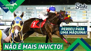 BICO BRANCO PERDE INVENCIBILIDADE ASSISTA REACT [upl. by Womack30]