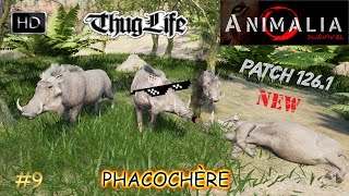 ANIMALIA SURVIVAL GAMEPLAY 9 TEST DE LA NOUVELLE MISE À JOUR ET DU NOUVEL ANIMAL  LE PHACOCHÈRE [upl. by Ahsienaj]