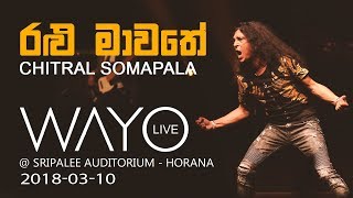 WAYO Live  Ralu Mawathe රළු මාවතේ by Chitral Somapala [upl. by Melesa]