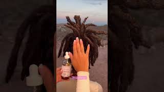 Peppermint Rose Retwist Oil locs locstyles nappstar [upl. by Simmie]