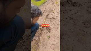 😂कौनरोने लगा😂 short shorts trending pallavipatel india farming funny vlog shortvideo [upl. by Kacy25]