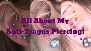 Antitragus Piercing FAQs amp 4 Month Update [upl. by Amand335]