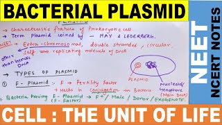 Plasmid  Bacterial Plasmid  Types of Plasmid  Plasmid as a Vector  Bacterial Conjugation  NEET [upl. by Neelrac]