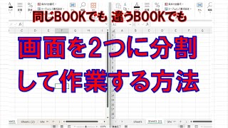 エクセル画面を分割して作業する方法 [upl. by Nymrak]