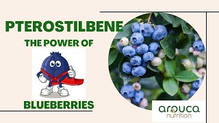 Pterostilbene A quick overview of this amazing phytochemical [upl. by Oos]