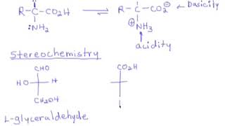 89 Amino Acids Introduction  Stereochemistry amp Nomenclature [upl. by Monica]