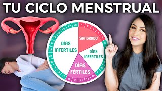 Conoce tu CICLO MENSTRUAL y días fértiles l Dra Pau Zúñiga 👩🏻‍⚕️ [upl. by Ambrosi]