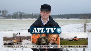 ATL TV Växtskyddshund pontongrävare och klättrande släntklippare [upl. by Lord]