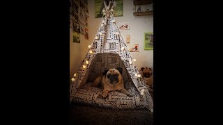 DIY Tipi für Hunden amp Katzen nähen [upl. by Nesta]