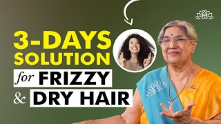 Dry hair treatment amp solution  Frizzy hair solution  Dry hair home remedies  Dry hair causes [upl. by Noel]