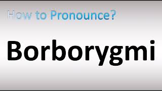 How to Pronounce Borborygmi [upl. by Leaper]