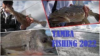 Yamba Northern NSW Fishing 2022 [upl. by Furtek]