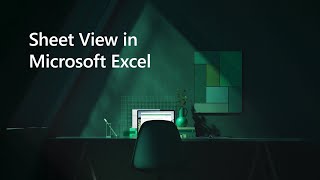 Sheet View Zoom and input data in Microsoft Excel [upl. by Nilrev395]