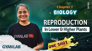 One Shot Lecture  Chp  1  Reproduction in Plants  Gyanlab  Anjali Patel oneshotlecture [upl. by Sivat]