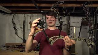 Best Compound Bow for Beginners [upl. by Jarnagin]