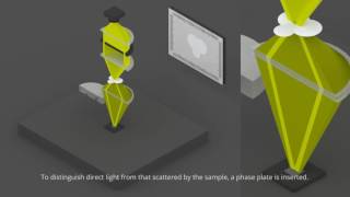 phase contrast and dark field microscopes [upl. by Yokoyama305]