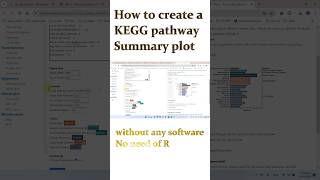 How to draw a KEGG pathway Plot [upl. by Leonhard263]