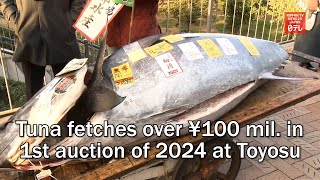 Tuna fetches over 100 million yen in first auction of 2024 at Tokyos Toyosu Market [upl. by Mellitz]