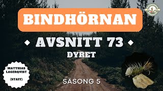 Avsnitt 73  Dyret  Bindhörnan 50  Hökensås Sportfiske [upl. by Anaahs945]