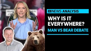 What is Man vs Bear and why is it relevant  ABC News [upl. by Yeslah140]