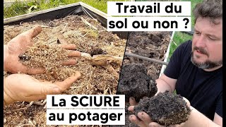 Retour sur mon test de la SCIURE au potager  Réflexions sur le non travail du sol [upl. by Phaih]