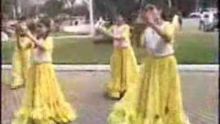 BAILES TIPICOS PARAGUAYOS [upl. by Ettolrahs]