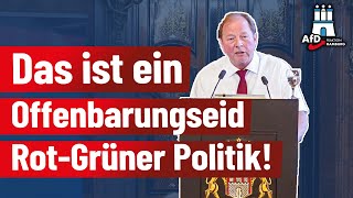 Das ist ein Offenbarungseid rotgrüner Politik Dirk Nockemann AfD [upl. by Kcirddec750]