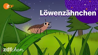 Lied Glühwürmchen  LÖWENZÄHNCHEN  ZDFchen [upl. by Dede]