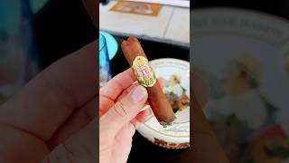 My Father Cigars Serie SF Mini Review cigar cigars shorts shortsyoutube youtubeshorts [upl. by Alocin]