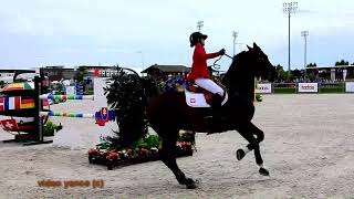 Horse show jumping falls compilation [upl. by Mcnamara]