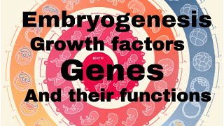 Growth factorsgenes their functions in embryogenesis  MisMedicine [upl. by Arais]