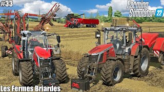 HARVESTING WHEAT and Baling STRAW FEEDING COWS│LES FERMES BRIARDES│FS 22│33 [upl. by Rawde]