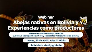 Webinar Abejas nativas de Bolivia y experiencias como productoras [upl. by Yvad]