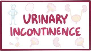 Urinary incontinence  causes symptoms diagnosis treatment pathology [upl. by Motch]