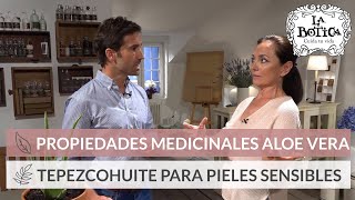 Propiedades medicinales de Aloe Vera  Tepezcohuite para pieles sensibles  La Botica [upl. by Uyr]