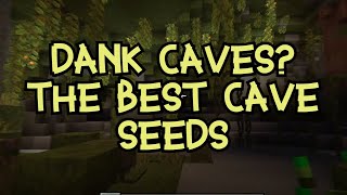 TOP 8 BEST NEW CAVE SEEDS in MINECRAFT 119 Bedrock amp Java [upl. by Neelyaj45]