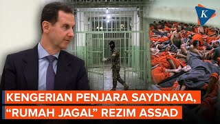 Fakta Penjara Saydnaya Suriah quotRumah Jagalquot Rezim Assad [upl. by Sihtnyc]