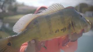 Montrezl Harrell Catches Fish with Monster Mike [upl. by Fagan]