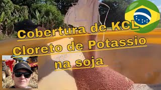 Uso do Cloreto de Potássio a lanço em cobertura da soja 2425  Soja Ho Prata e BMX Fúria [upl. by Kceb]