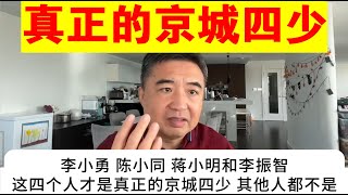 翟山鹰：真正的京城四少丨李小勇（李鹏之子）丨陈小同（陈希同之子）丨蒋小明（乔石之子）丨李振智（李瑞环之子） [upl. by Derwood]