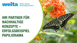 Nachhaltige Lösungen für Papiliorama [upl. by Aniretac]