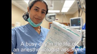 73 Questions with a Certified Anesthesiologist Assistant [upl. by Cordy870]