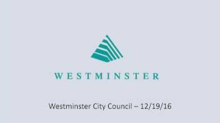 Westminster City Council Live Stream [upl. by Nyledam]