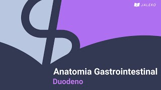 Anatomia gastrointestinal  Duodeno [upl. by Lamberto934]