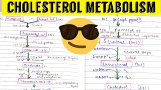 Cholesterol Metabolism  Cholesterol Biosynthesis [upl. by Engedus]