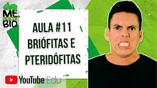 Briófitas e Pteridófitas  Me Gusta Bio com Professor Gustavo Schmidt [upl. by Yrot]